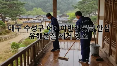 대구 수성구 어린이&반려동물 안심 유해물질 제거 청소
