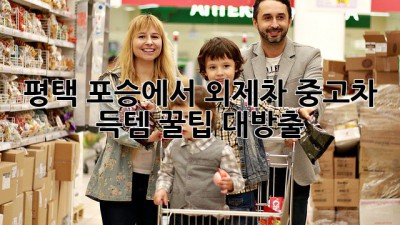 평택 포승에서 외제차 중고차 득템?! ✨꿀팁 대방출✨